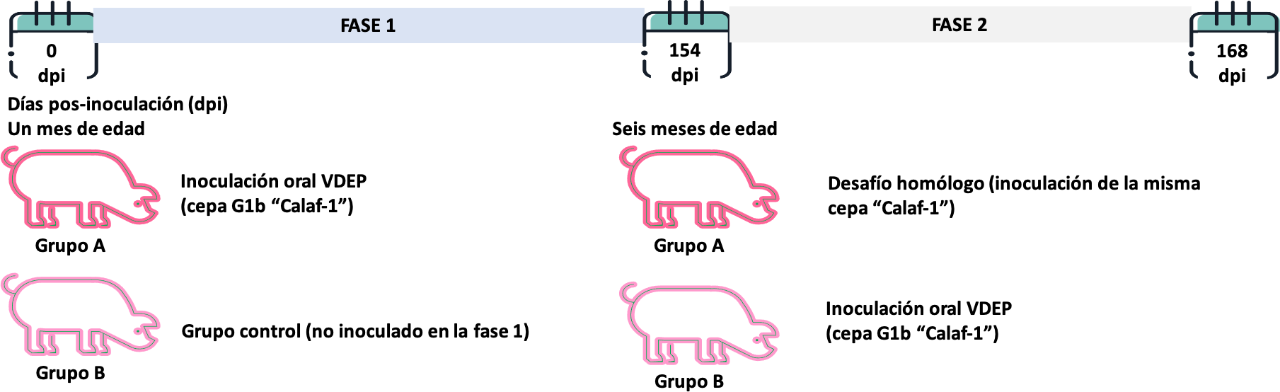 Interfaz de usuario gráfica, Diagrama, Aplicación  Descripción generada automáticamente