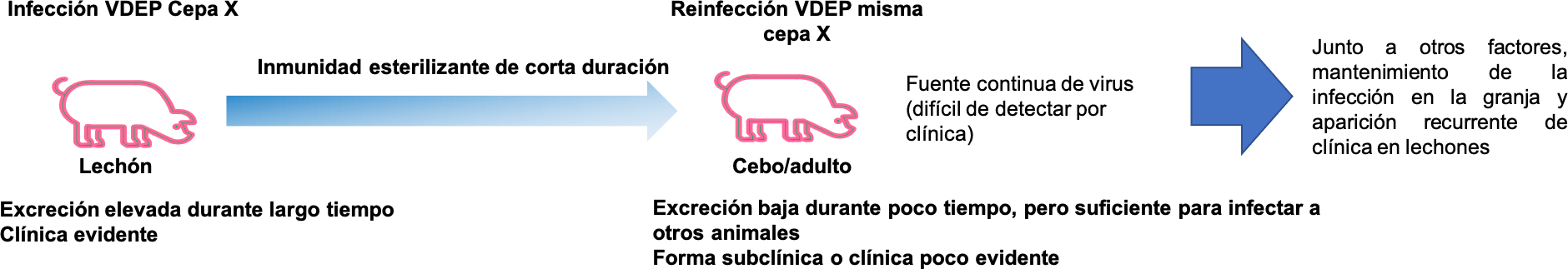 Diagrama  Descripción generada automáticamente