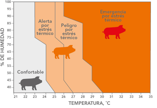 Imagen que contiene Gráfico  Descripción generada automáticamente