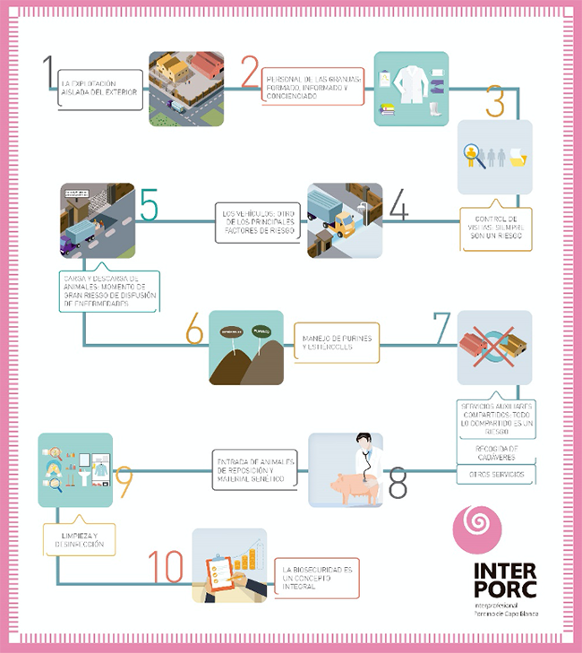 Decálogo de bioseguridad en granjas de porcino